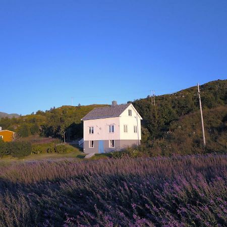 Steinbakk - Vestresand Lofoten Villa Bostad Kültér fotó