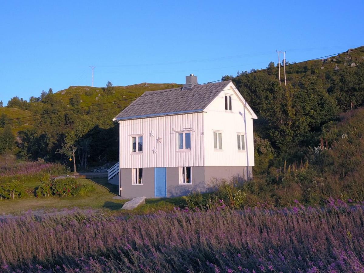 Steinbakk - Vestresand Lofoten Villa Bostad Kültér fotó