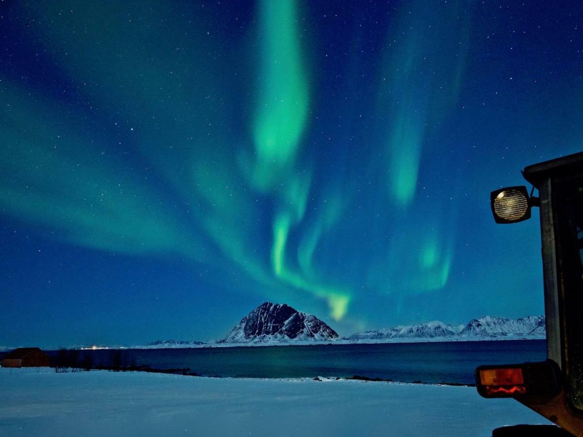 Steinbakk - Vestresand Lofoten Villa Bostad Kültér fotó