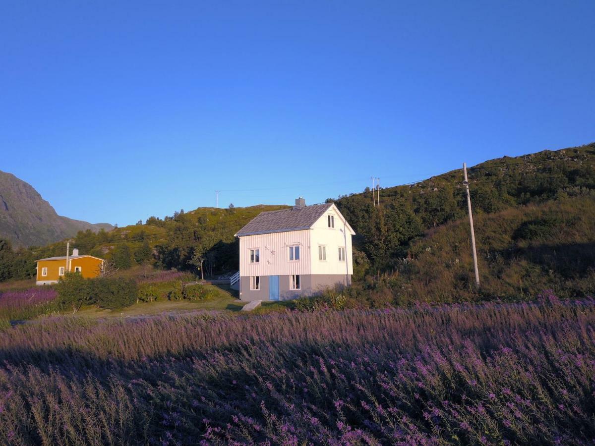 Steinbakk - Vestresand Lofoten Villa Bostad Kültér fotó